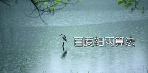 企业站遭百度“细雨算法”打击后该怎么办？
